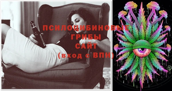 СК Нефтекумск