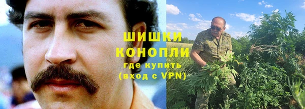 сатива Нея