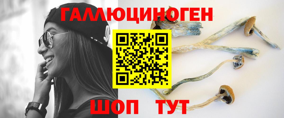 Губаха  Галлюциногенные грибы MAGIC MUSHROOMS  Галлюциногенные грибы мицелий  Вход с VPN 